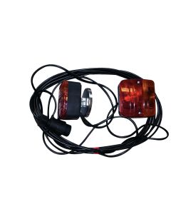 Taillight with wiring kit 