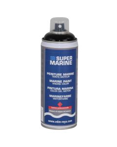 Aerosol engine paint Boero