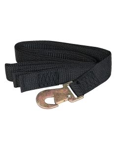Winch strap 