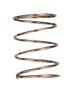 Stainless steel spring AD