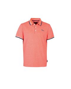Polo Salmón, S Botalo