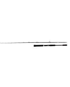 Canne E-DARKNESS + moulinet TICA