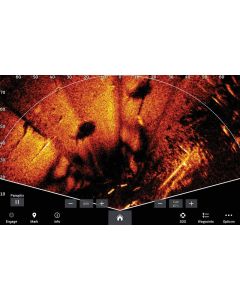 PANOPTIX LiveScope LVS34 depth sounder Garmin