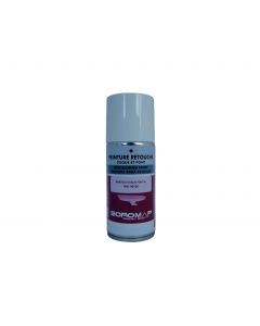 Aérosol retouche coque et pont
