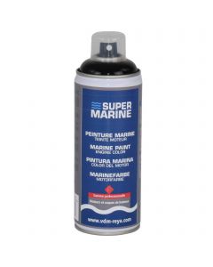 Aerosol engine paint Boero