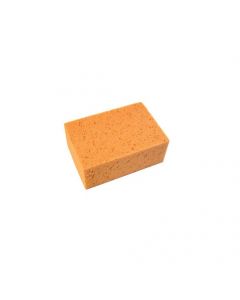 Sponge 