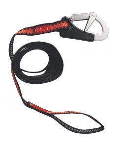 Safeguard 1 carabiner