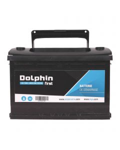 'First' Starter Batteries Dolphin