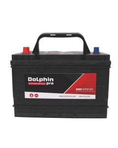 'Pro' mixed batteries Dolphin