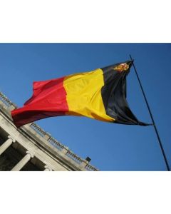 Belgian flag with crest 