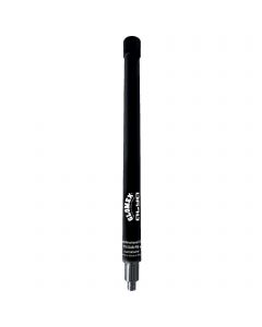 TV Alya Antenna Glomex