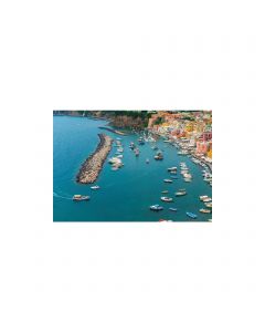 Cartes NAVIONICS PLATINUM+ Navionics