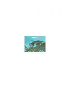 Cartes BlueChart® Large g3 Vision Garmin