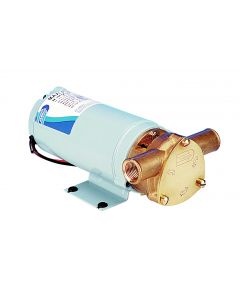 Bronze body turbine pump 2640 l/h