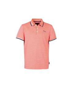 Polo Salmón, S Botalo