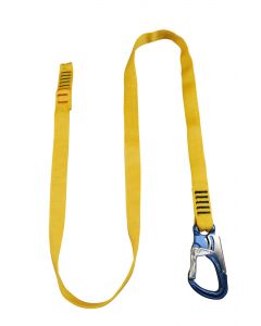 Safeguard 1 carabiner