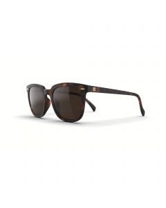 Gafas adulto Carey LOUBSOL