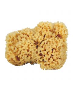 Natural sponge Docksoap®
