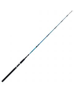 Canne TUNASAKA + moulinet KERFIL