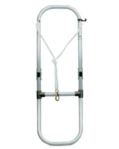 Ladder for pneumatic 2 levels