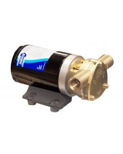 Bronze body turbine pump 1950 l/h