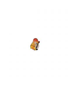 Capuche universelle